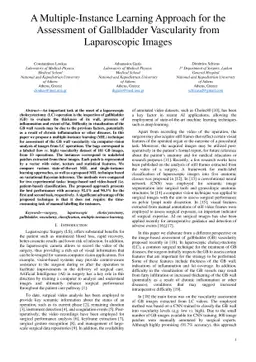 A Multiple-Instance Learning Approach for the Assessment of Gallbladder
  Vascularity from Laparoscopic Images