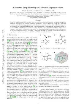 Geometric Deep Learning on Molecular Representations