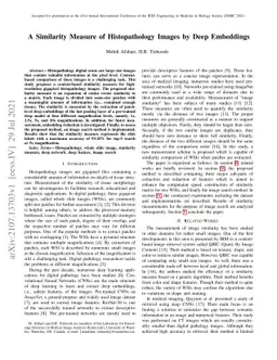 A Similarity Measure of Histopathology Images by Deep Embeddings