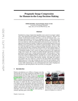 Pragmatic Image Compression for Human-in-the-Loop Decision-Making