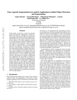 Class-Agnostic Segmentation Loss and Its Application to Salient Object
  Detection and Segmentation