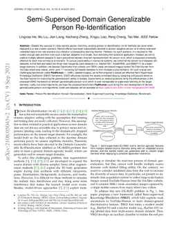 Semi-Supervised Domain Generalizable Person Re-Identification