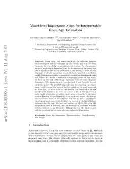 Voxel-level Importance Maps for Interpretable Brain Age Estimation