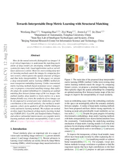Towards Interpretable Deep Metric Learning with Structural Matching