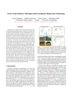 Focus on the Positives: Self-Supervised Learning for Biodiversity
  Monitoring