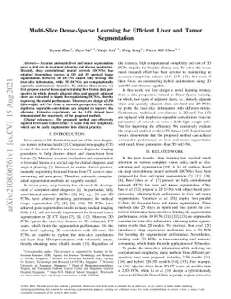 Multi-Slice Dense-Sparse Learning for Efficient Liver and Tumor
  Segmentation