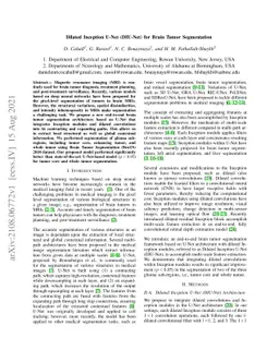Dilated Inception U-Net (DIU-Net) for Brain Tumor Segmentation