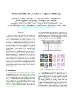 Probeable DARTS with Application to Computational Pathology