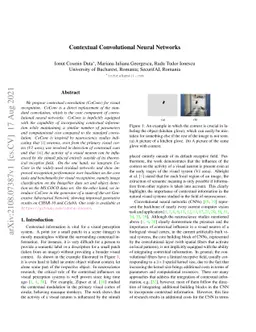 Contextual Convolutional Neural Networks
