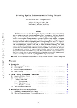 Learning System Parameters from Turing Patterns
