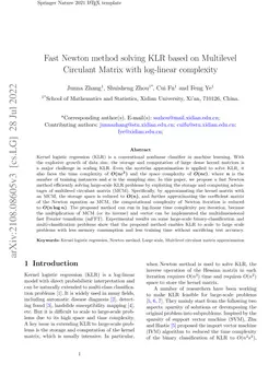 Fast Newton method solving KLR based on Multilevel Circulant Matrix with
  log-linear complexity