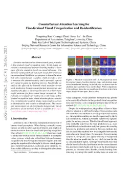 Counterfactual Attention Learning for Fine-Grained Visual Categorization
  and Re-identification