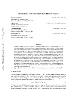 Practical and Fast Momentum-Based Power Methods