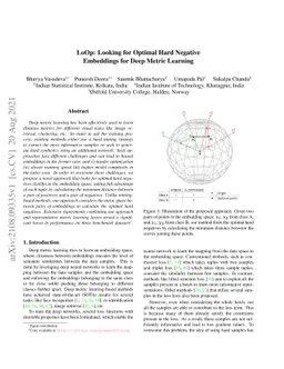 LoOp: Looking for Optimal Hard Negative Embeddings for Deep Metric
  Learning