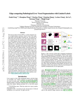 Edge-competing Pathological Liver Vessel Segmentation with Limited
  Labels