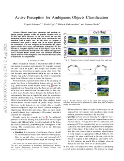 Active Perception for Ambiguous Objects Classification
