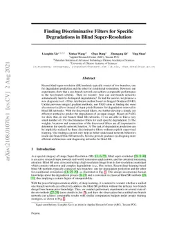 Finding Discriminative Filters for Specific Degradations in Blind
  Super-Resolution