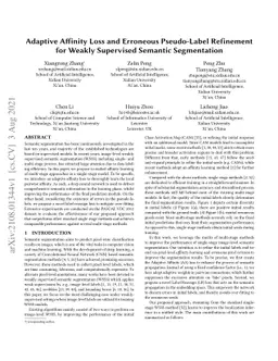 Adaptive Affinity Loss and Erroneous Pseudo-Label Refinement for Weakly
  Supervised Semantic Segmentation