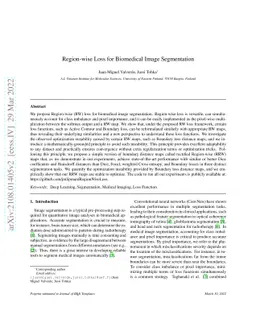 Region-wise Loss for Biomedical Image Segmentation