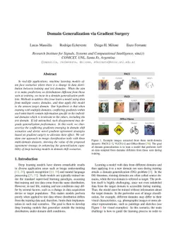 Domain Generalization via Gradient Surgery