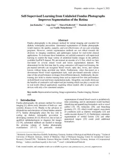Self-Supervised Learning from Unlabeled Fundus Photographs Improves
  Segmentation of the Retina