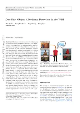 One-Shot Object Affordance Detection in the Wild