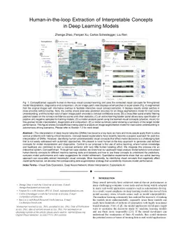 Human-in-the-loop Extraction of Interpretable Concepts in Deep Learning
  Models