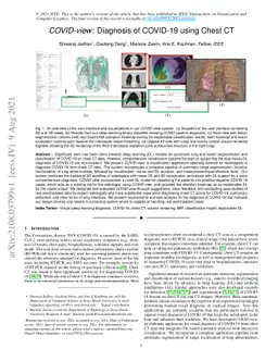 COVID-view: Diagnosis of COVID-19 using Chest CT