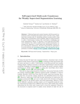 Self-supervised Multi-scale Consistency for Weakly Supervised
  Segmentation Learning