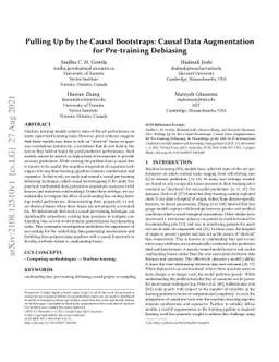 Pulling Up by the Causal Bootstraps: Causal Data Augmentation for
  Pre-training Debiasing