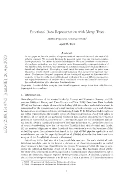Functional Data Representation with Merge Trees
