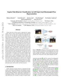 Equine Pain Behavior Classification via Self-Supervised Disentangled
  Pose Representation