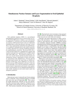 Simultaneous Nuclear Instance and Layer Segmentation in Oral Epithelial
  Dysplasia