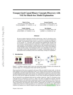 Unsupervised Causal Binary Concepts Discovery with VAE for Black-box
  Model Explanation