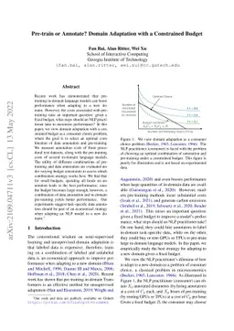 Pre-train or Annotate? Domain Adaptation with a Constrained Budget