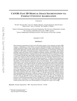 CAN3D: Fast 3D Medical Image Segmentation via Compact Context
  Aggregation