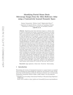 Identifying partial mouse brain microscopy images from Allen reference
  atlas using a contrastively learned semantic space
