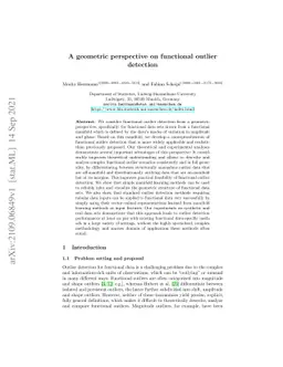 A geometric perspective on functional outlier detection