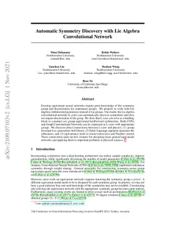 Automatic Symmetry Discovery with Lie Algebra Convolutional Network