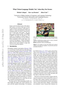 What Vision-Language Models `See' when they See Scenes