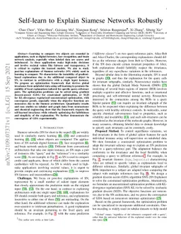Self-learn to Explain Siamese Networks Robustly