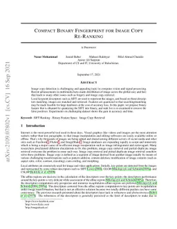 Compact Binary Fingerprint for Image Copy Re-Ranking