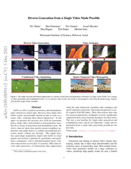 Diverse Generation from a Single Video Made Possible