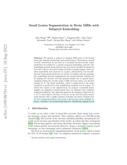 Small Lesion Segmentation in Brain MRIs with Subpixel Embedding