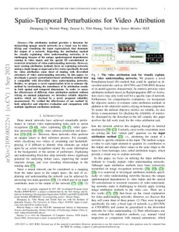 Spatio-Temporal Perturbations for Video Attribution