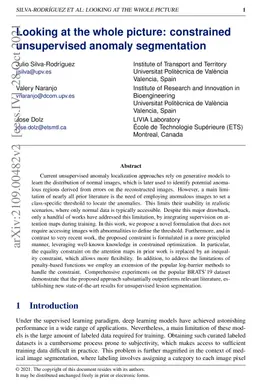Looking at the whole picture: constrained unsupervised anomaly
  segmentation