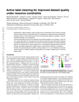 Active label cleaning for improved dataset quality under resource
  constraints