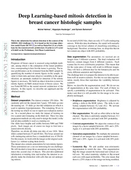 Deep Learning-based mitosis detection in breast cancer histologic
  samples