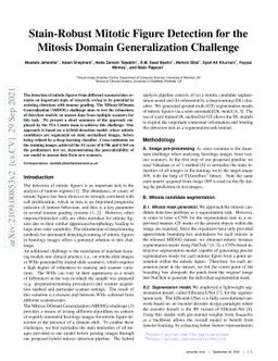 Stain-Robust Mitotic Figure Detection for the Mitosis Domain
  Generalization Challenge