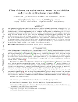 Effect of the output activation function on the probabilities and errors
  in medical image segmentation